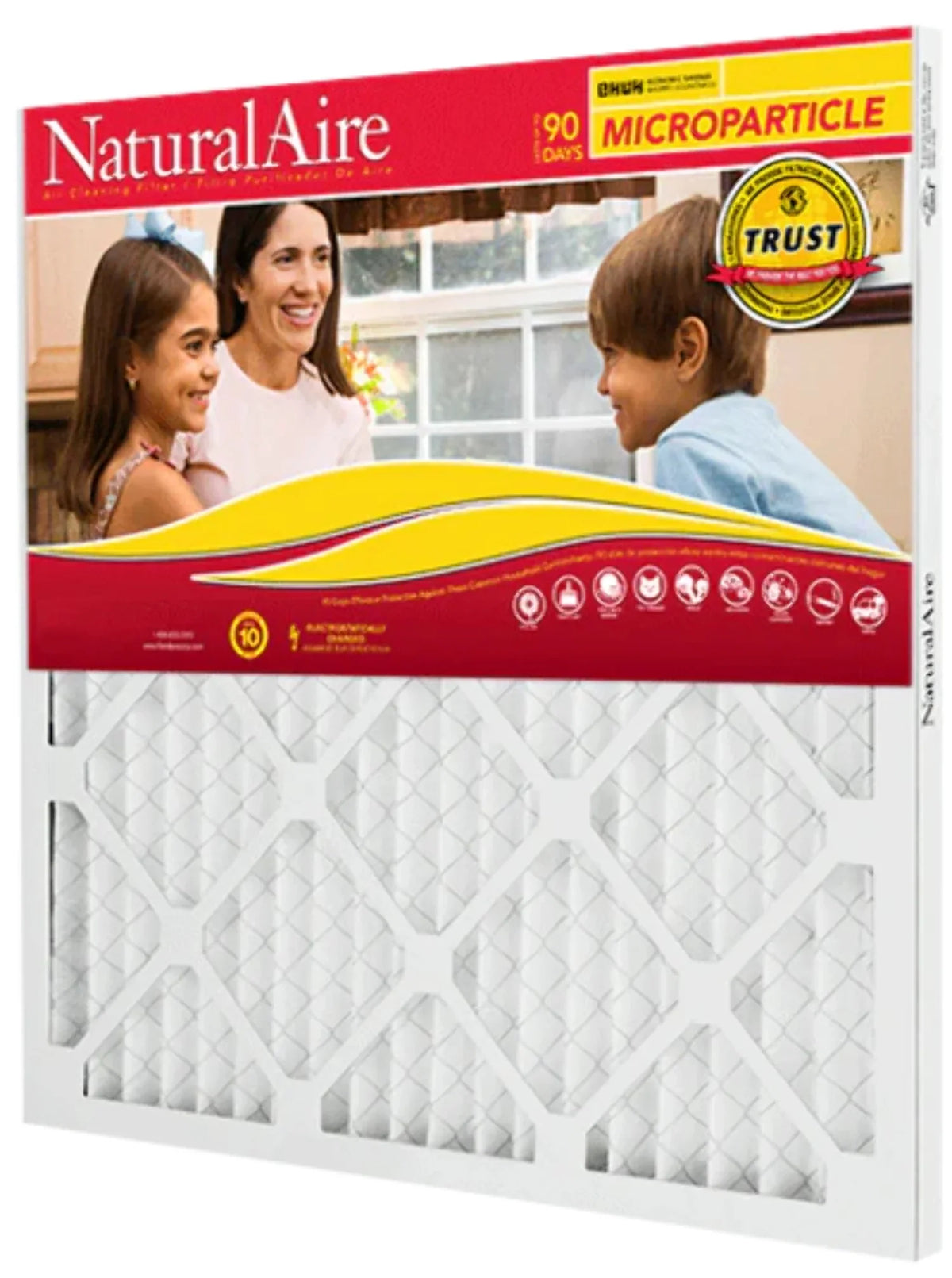 Filters 10 pack) (6 85256.01175235 Microparticle MERV 17.5x23.5x1 NaturalAire