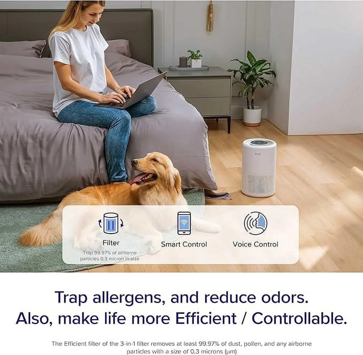 Purifier True Core HEPA for Allergy Air Large Room Home Box Open Asthma 200S and Levoit
