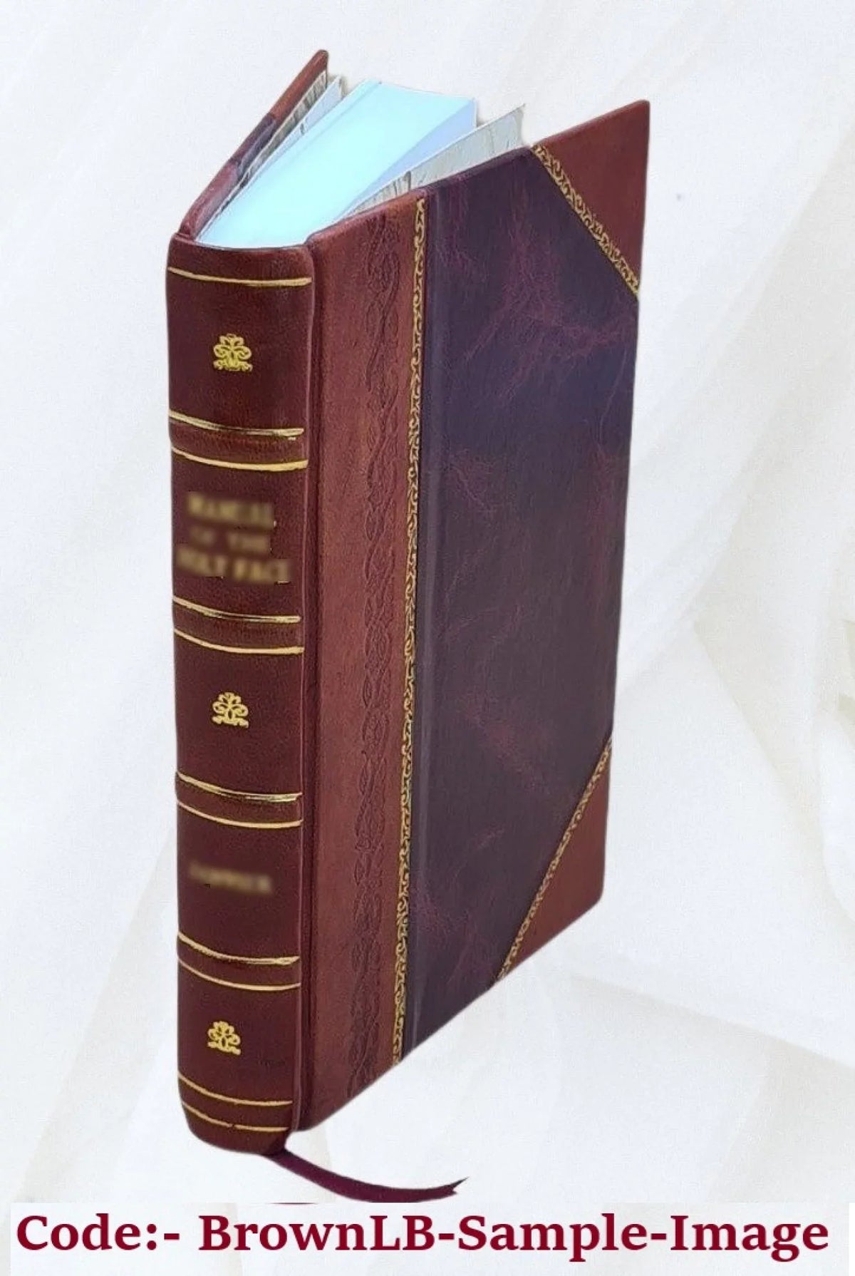 classic ... 1892 Rey [Leather y Su Bound] la 2 en del media: acuerdos edad durante principales formación Los autoridad consejos Volume