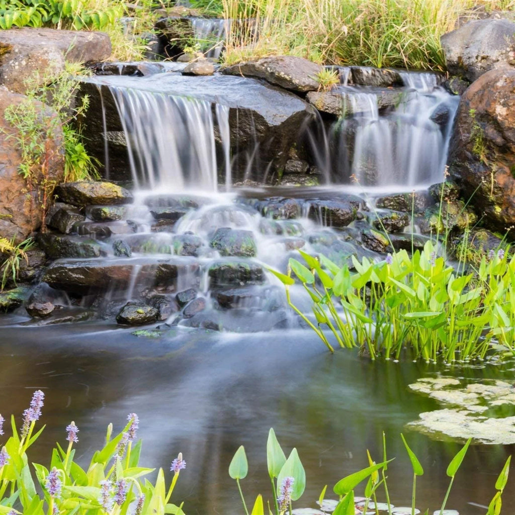 Drive PN-10500 Water Series Gardens, Ponds GPH Direct 10,500 - Waterfalls PONDS HALF Piranha OFF Submersible Pump for and