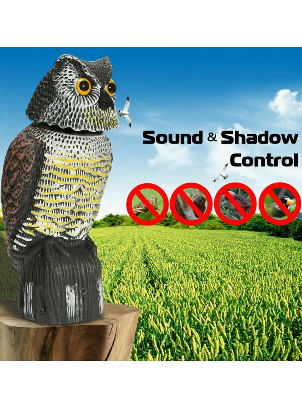 Scarer Pigeon Owl Bird Realistic Listenwind Head With Decoy Rotating Crow