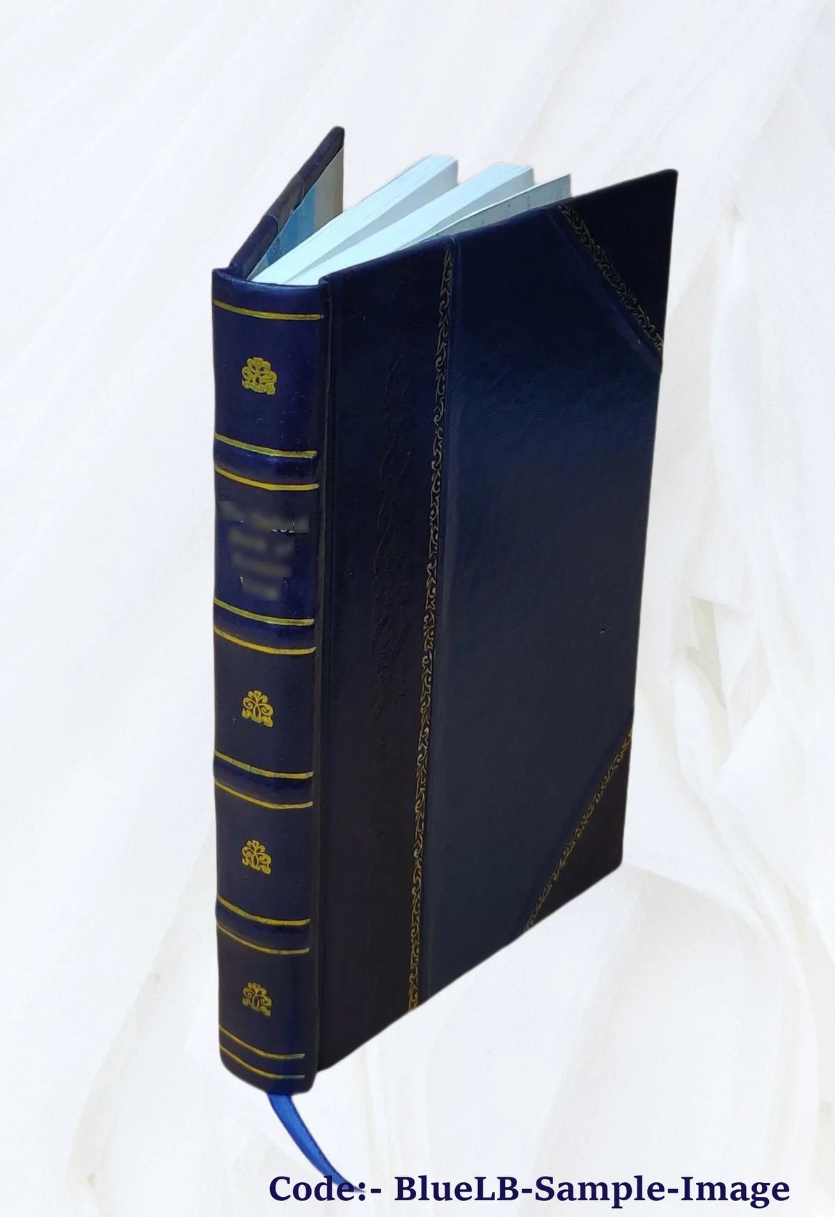 "Principal to / : [Leathe Edward Raleigh select ;Gilbert, Cavendish, Barlow, Payne. from by navigations" of edited seamen narratives special edition John Voyages Hakluyt of and the 1900 the Elizabethan America Amadas