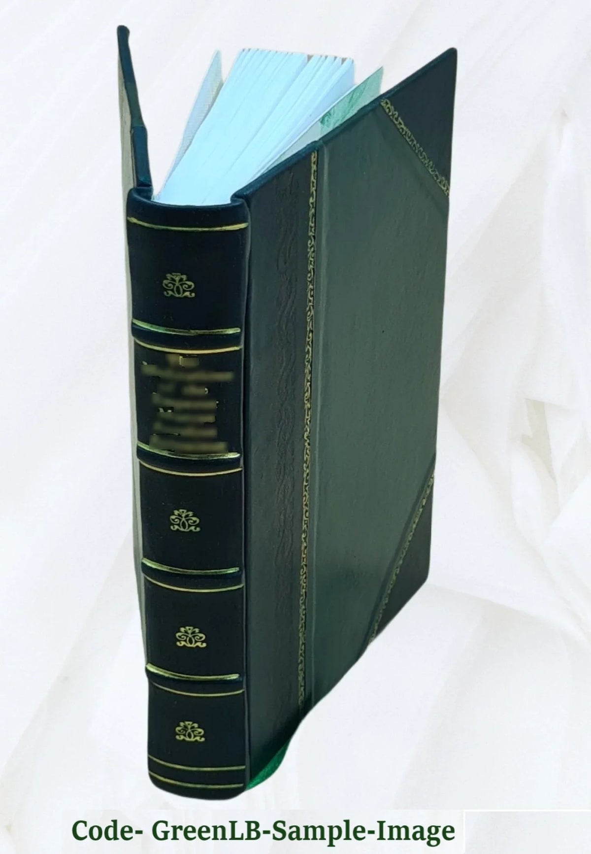 classic ... 1892 Rey [Leather y Su Bound] la 2 en del media: acuerdos edad durante principales formación Los autoridad consejos Volume