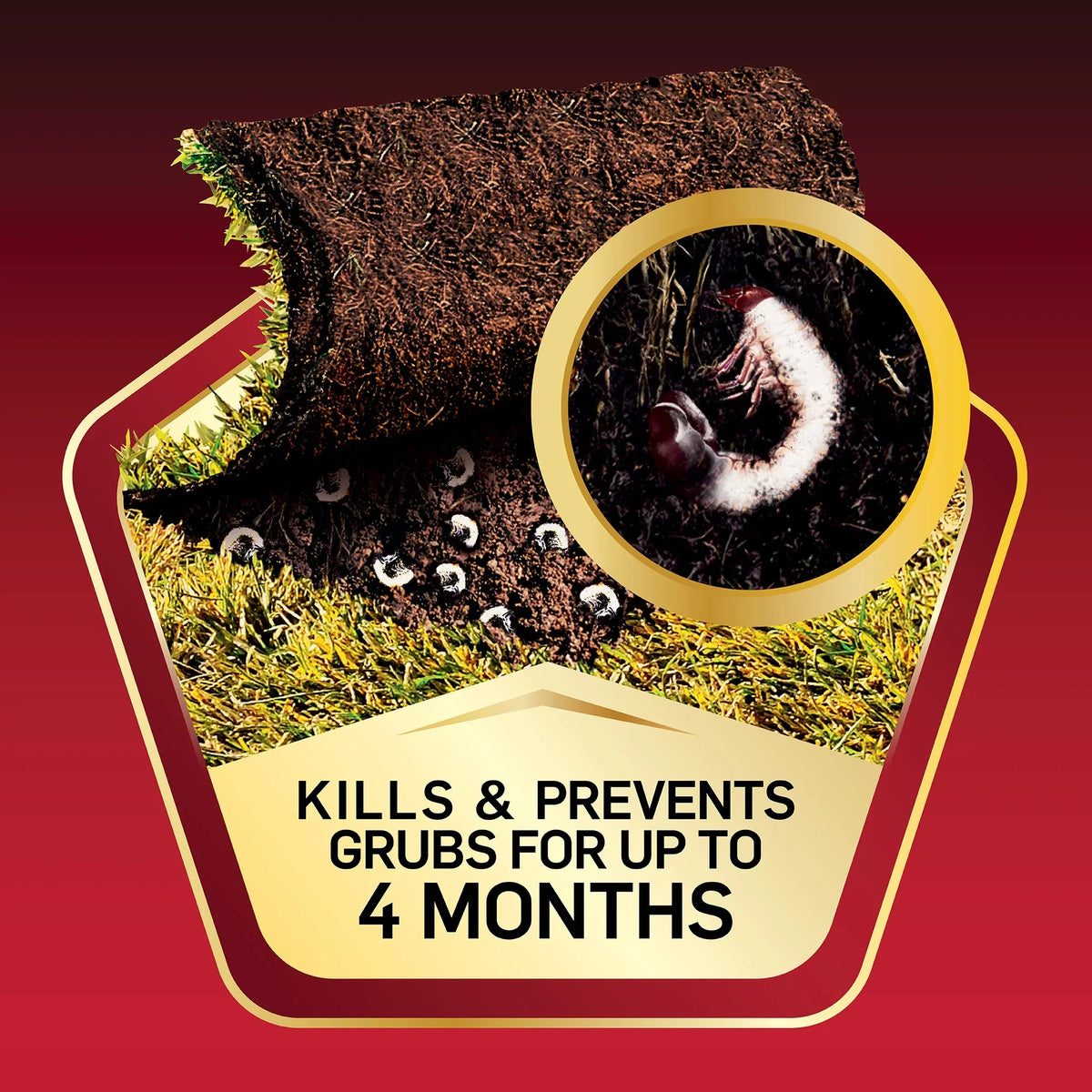 Control and Scotts Grub GrubEx Insect classic Granules lb 28.87