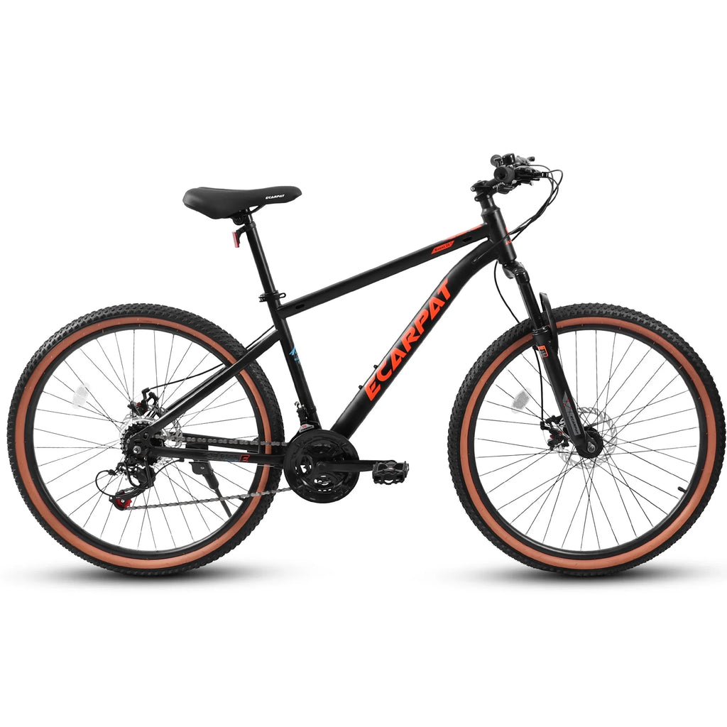 1 bike! - versatile ease trails on Ecarpat Mountain - Bike this with Conquer 44.0 -
