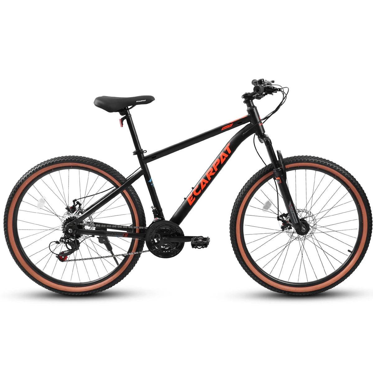 1 bike! - versatile ease trails on Ecarpat Mountain - Bike this with Conquer 44.0 -