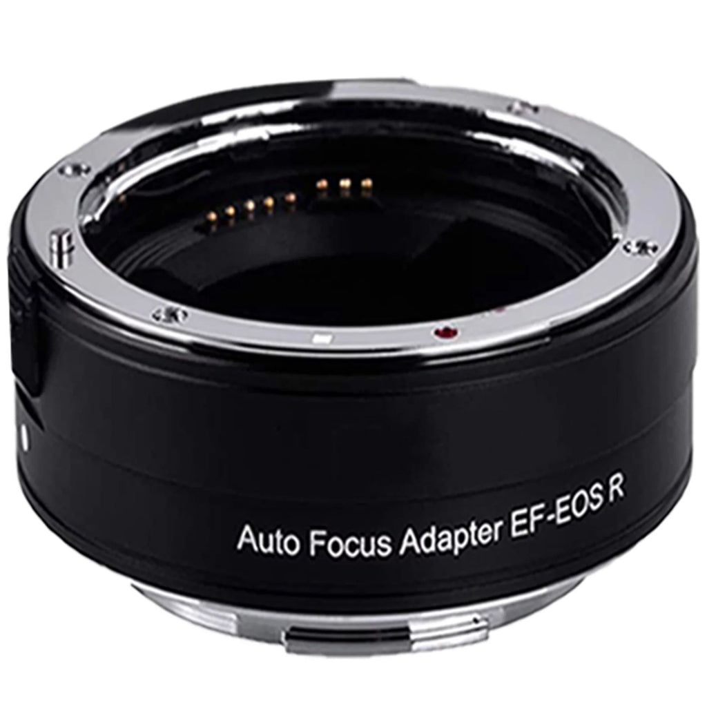 Canon + R6 24-105mm Camera RF Mirrorless ZeeTech Accessory STM with + + EOS Adapter SanDisk Lens Digital Mount Bundle 128GB