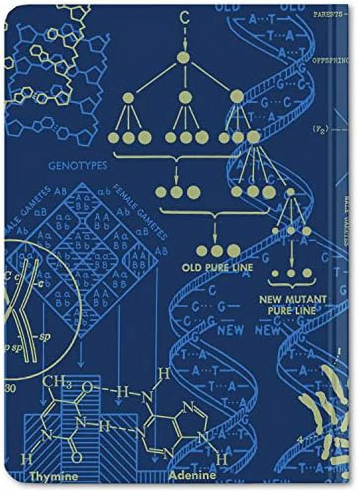 Grid Recycled) Genetics DNA Dot 100% & Pages, Notebook. trendy Hardcover, (Mini