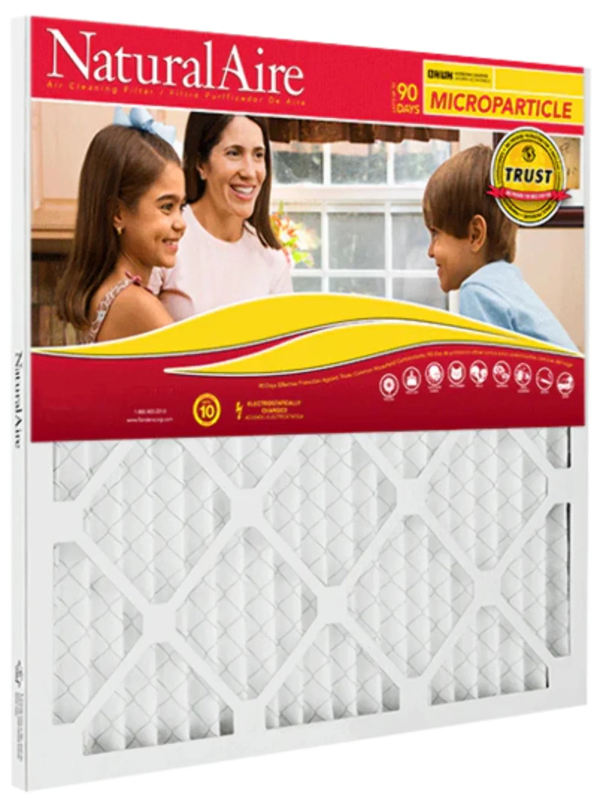 Filters 10 pack) (6 85256.01175235 Microparticle MERV 17.5x23.5x1 NaturalAire