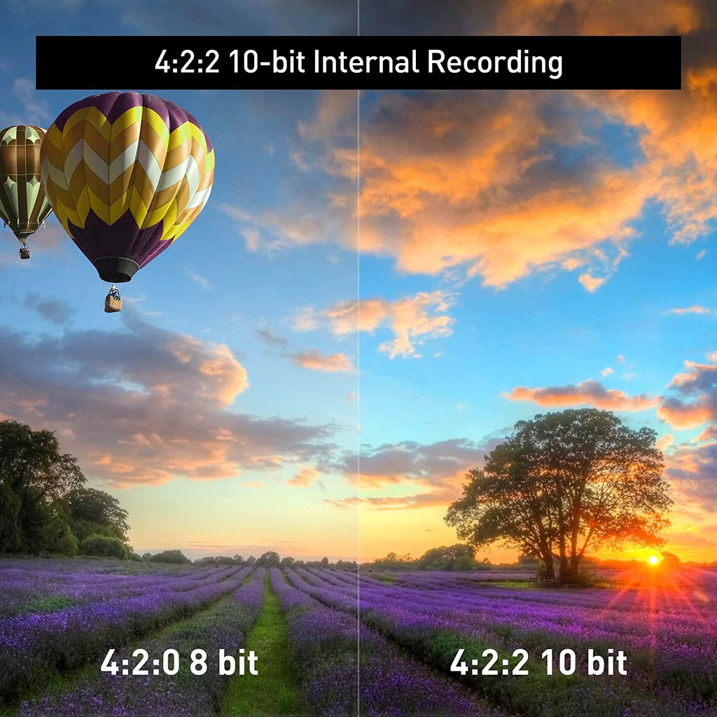 Professional Sensor HC-X2 1" UHD 4K Camcorder