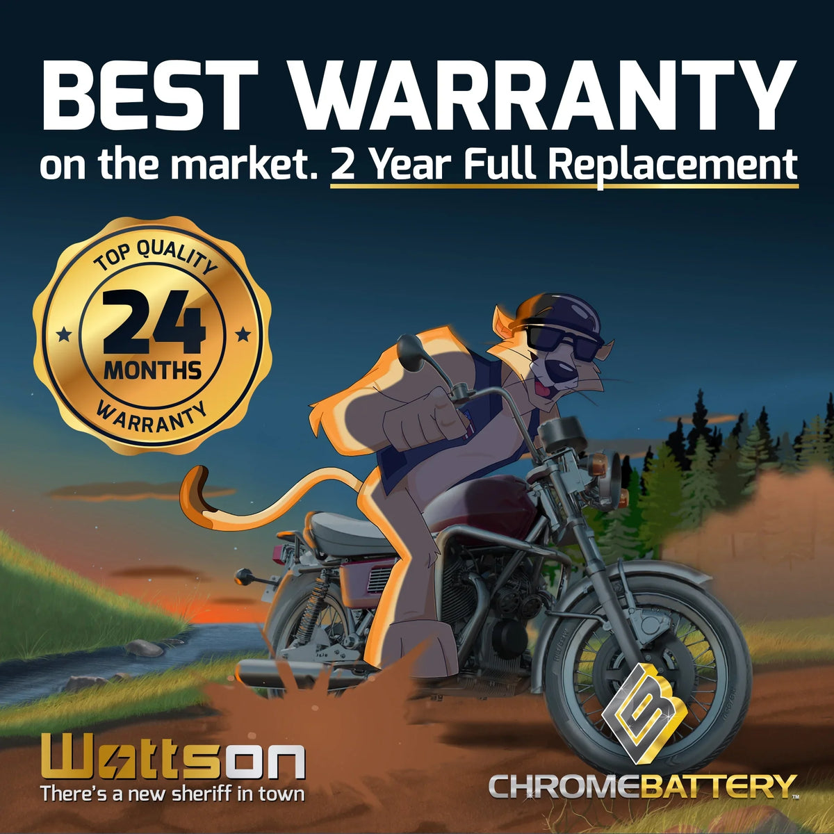 Er Volt,20 Battery 700cc 2004 Chrome Battery Snowmobile 260 CCA) Sxv700er Y50-N18L-A3 Yamaha 12 high quality for Ah, (50-N18L-A3 Viper