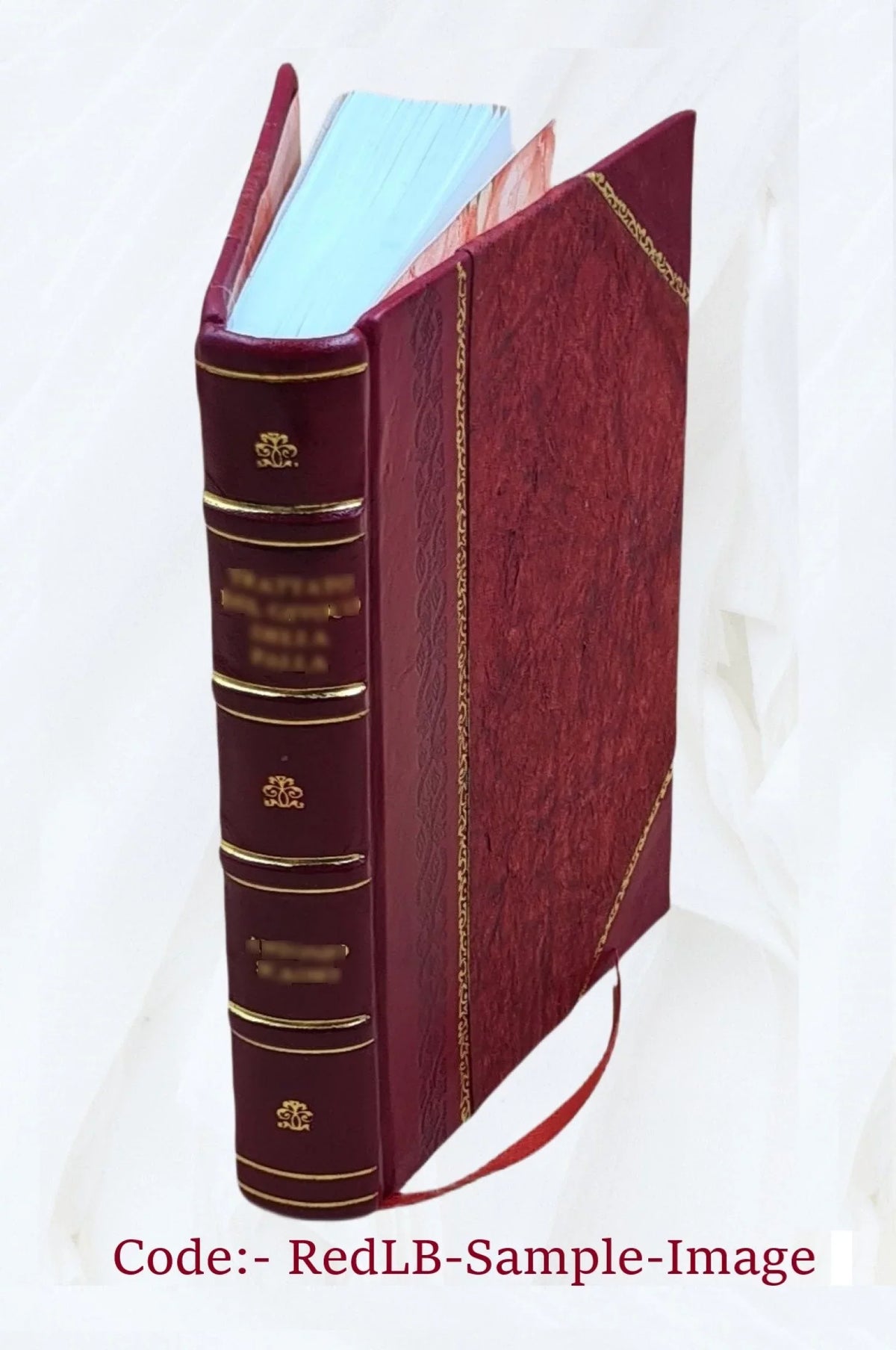 "Principal to / : [Leathe Edward Raleigh select ;Gilbert, Cavendish, Barlow, Payne. from by navigations" of edited seamen narratives special edition John Voyages Hakluyt of and the 1900 the Elizabethan America Amadas