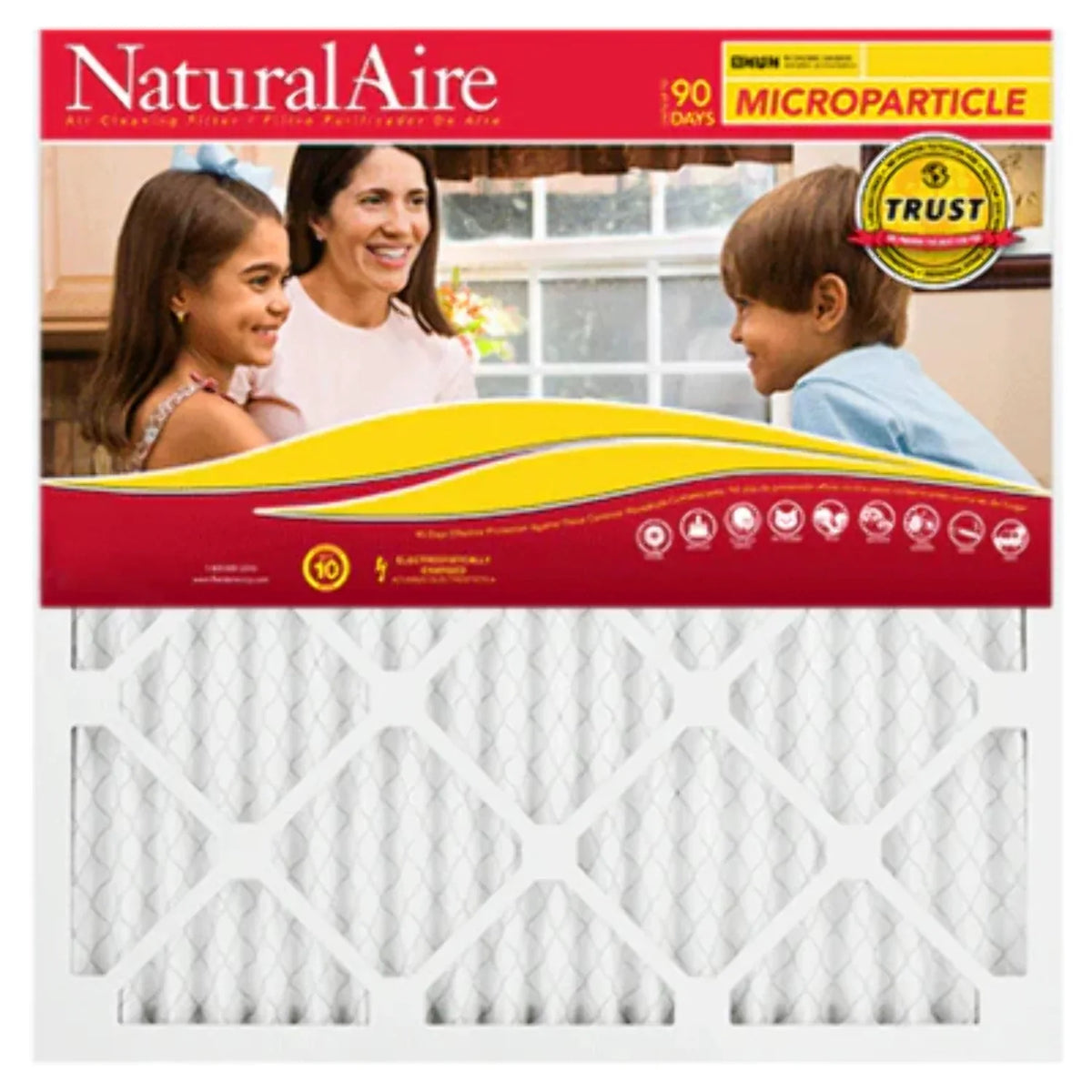 Filters 10 pack) (6 85256.01175235 Microparticle MERV 17.5x23.5x1 NaturalAire