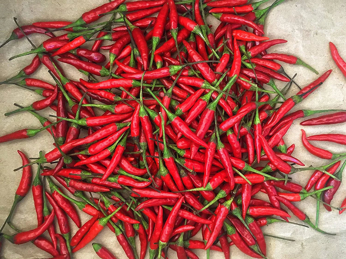 Chili Red -1 Lb (16 trendy Fresh Peppers oz) Thai