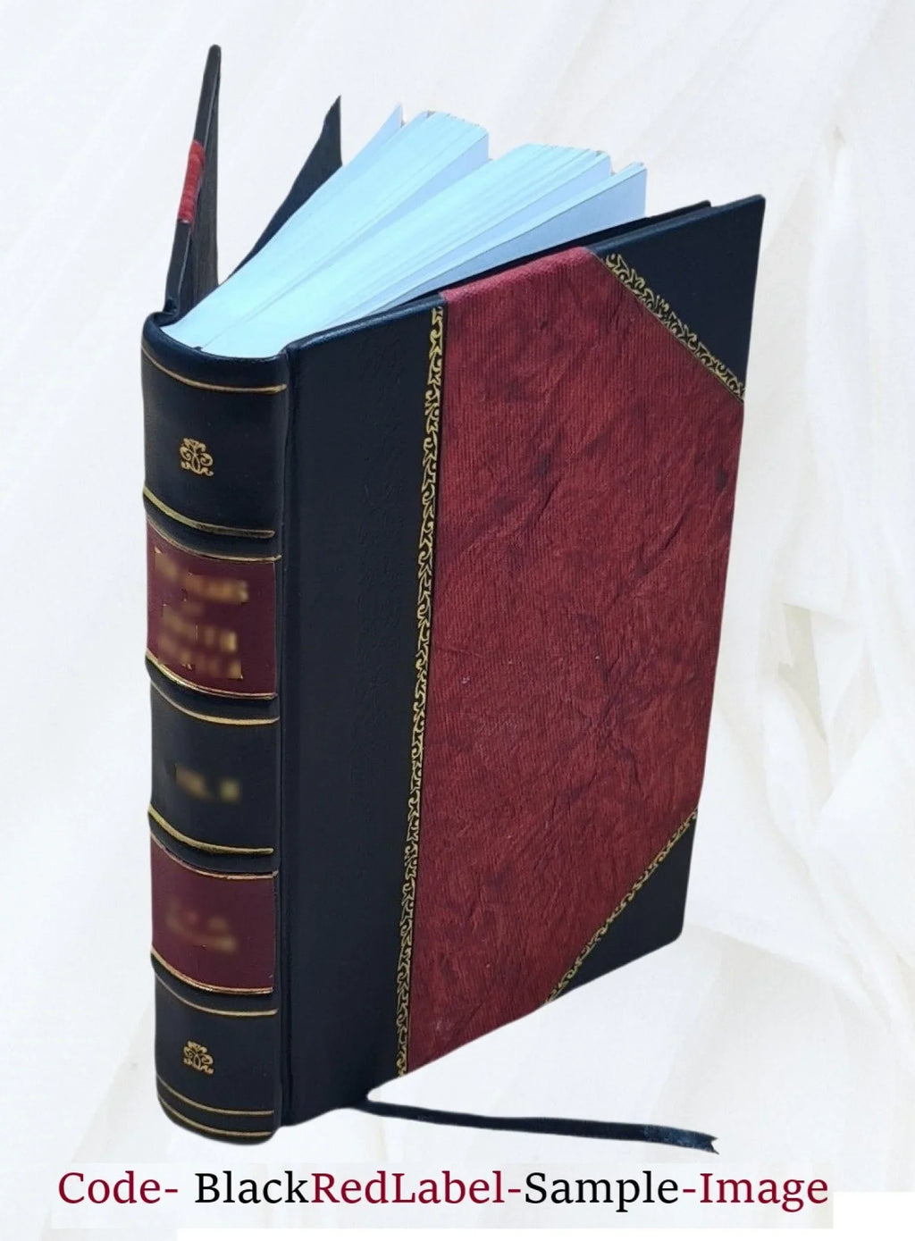 "Principal to / : [Leathe Edward Raleigh select ;Gilbert, Cavendish, Barlow, Payne. from by navigations" of edited seamen narratives special edition John Voyages Hakluyt of and the 1900 the Elizabethan America Amadas