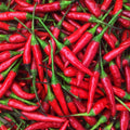 Chili Red -1 Lb (16 trendy Fresh Peppers oz) Thai