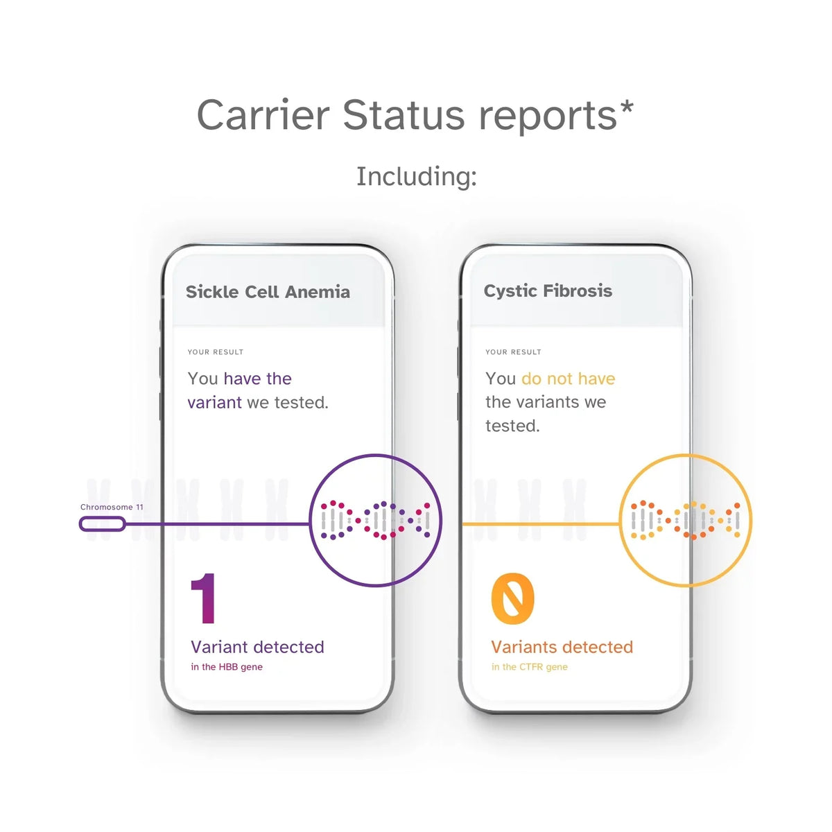 Ancestry Buy See You DNA 23andMe Health Test below) – Service Important Info + Test (before